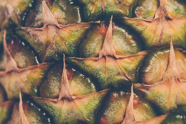 Het groene goud: ananasplanten kweken in je eigen tuin